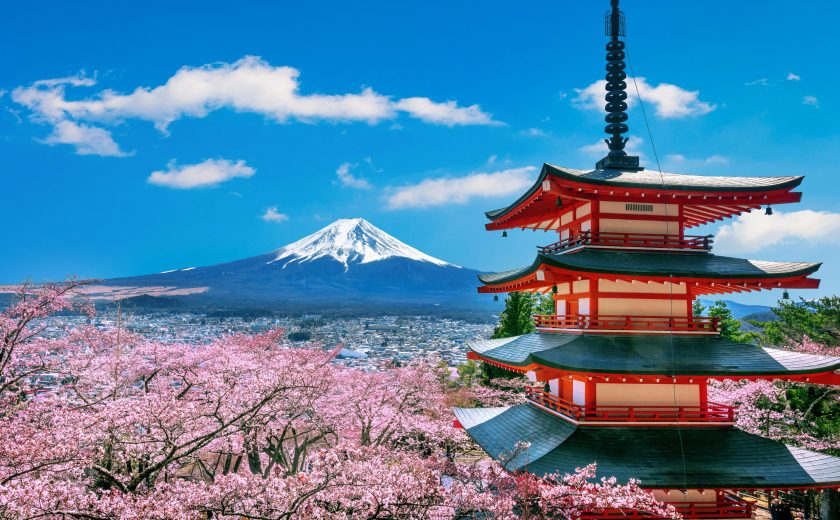Cherry blossoms in spring, Chureito pagoda and Fuji mountain in