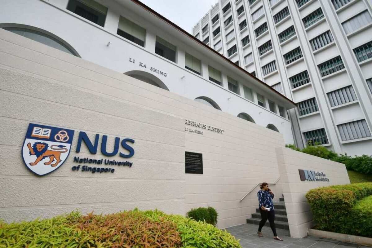 nus3