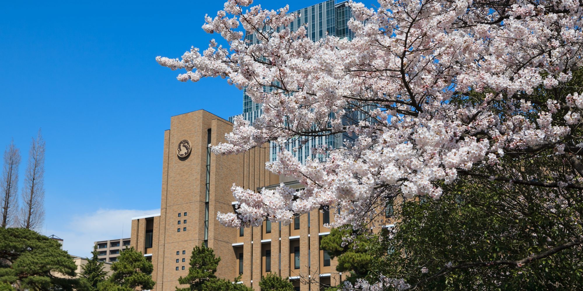 Katahira-day-2000×1000